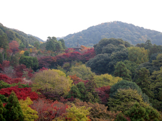 b0069720_2225366.jpg