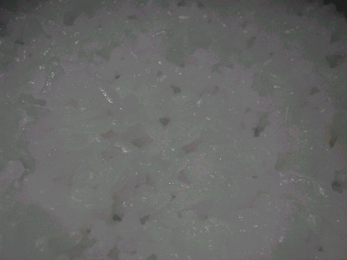 d0002224_10101915.jpg