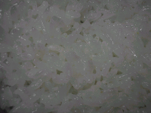 d0002224_1084234.jpg