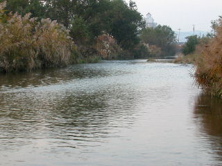e0033926_18201019.jpg