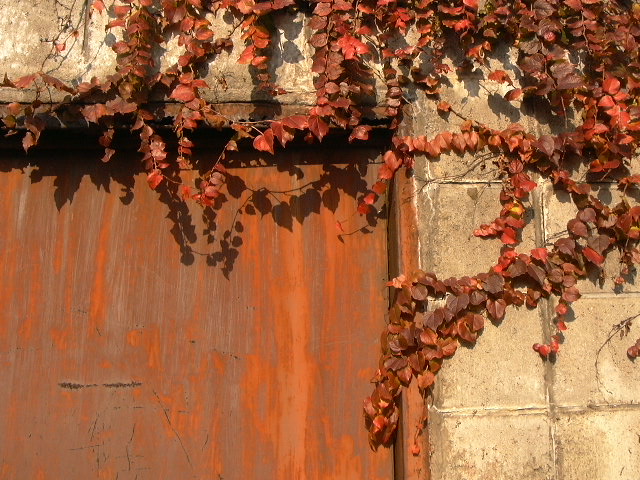 c0073633_22474210.jpg