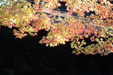 d0001533_17563292.jpg