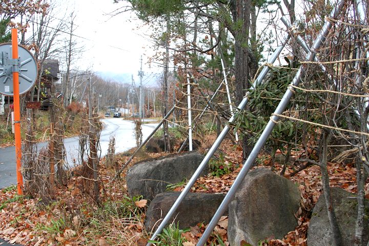 d0012134_1864889.jpg