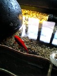 c0070940_018168.jpg