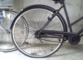 e0071440_1655627.jpg