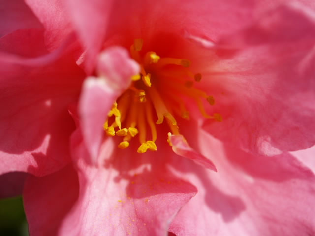 c0066245_2221754.jpg