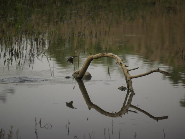 c0066245_22314483.jpg