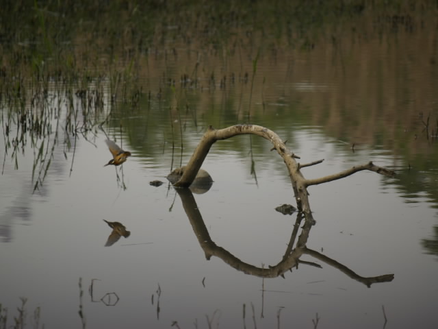 c0066245_2231884.jpg