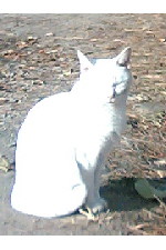 c0011446_19351969.jpg