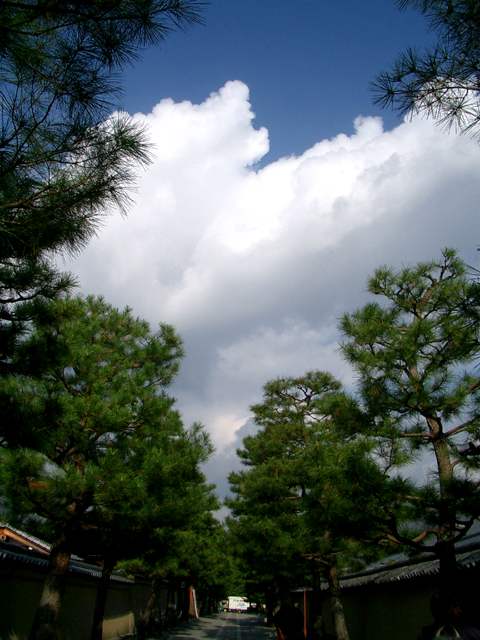 a0024250_3355515.jpg