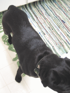 b0035453_1283611.gif