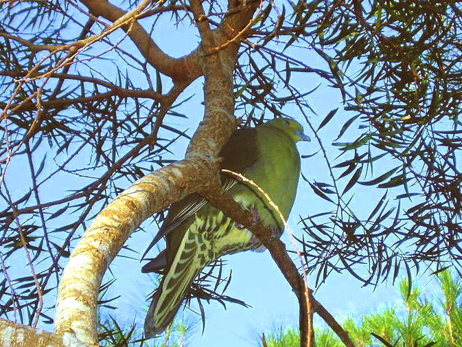 e0064158_0163873.jpg