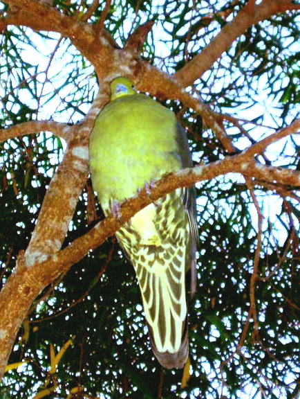 e0064158_0165812.jpg