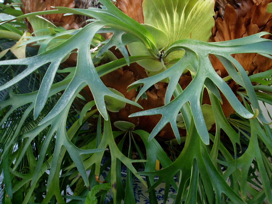 e0064158_23205478.jpg