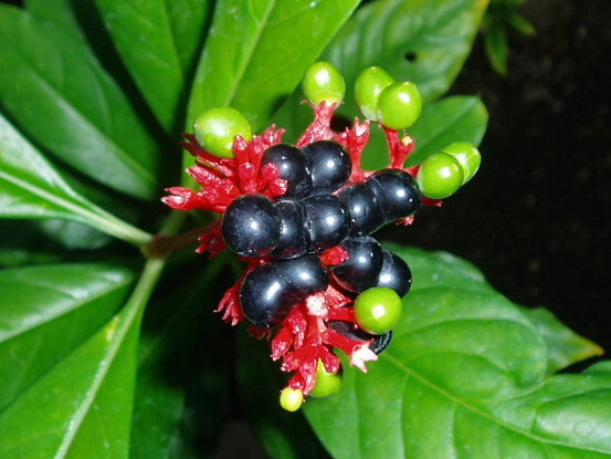e0064158_232142100.jpg