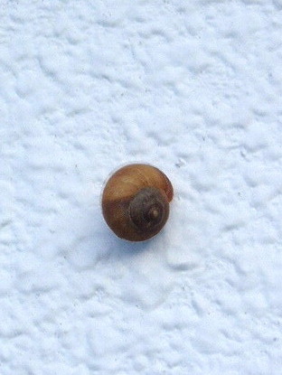 e0064158_23282811.jpg