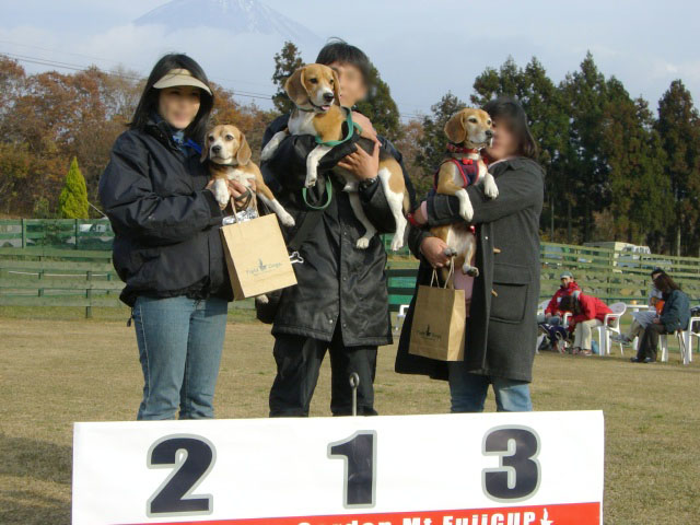 e0007060_223496.jpg