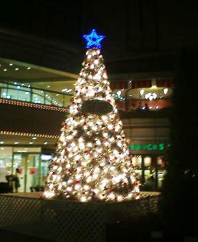 b0009665_0284327.jpg