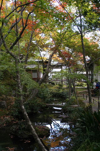 b0055171_16562135.jpg
