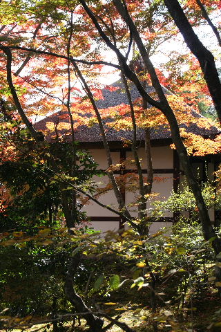b0055171_17103848.jpg