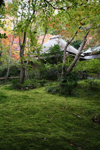b0055171_2228503.jpg