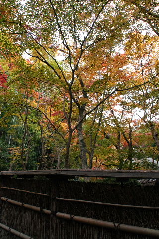 b0055171_22311480.jpg