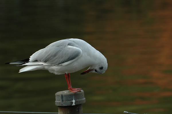 e0015377_18424440.jpg