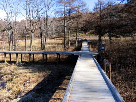 c0038983_1157975.jpg