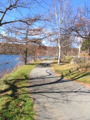 c0038983_1221671.jpg