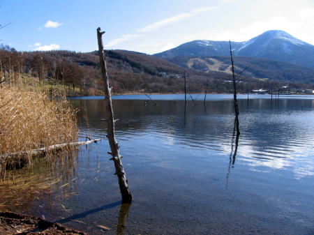 c0038983_1272318.jpg