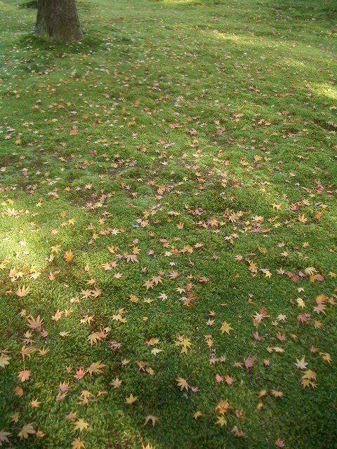 d0047487_127789.jpg