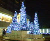 a0055889_081113.jpg