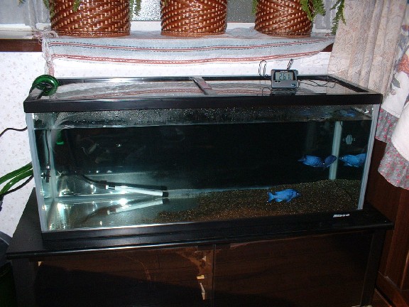 f0003392_13323368.jpg