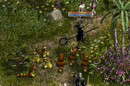 b0052295_3132581.gif