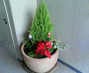 e0015006_234798.jpg