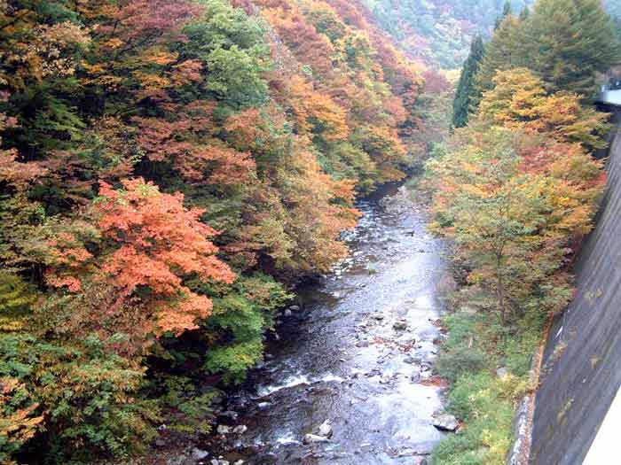 e0001110_1914074.jpg