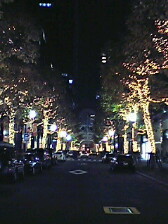 a0015614_22465625.jpg