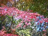 b0053414_2254123.jpg
