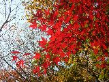 b0053414_22572946.jpg