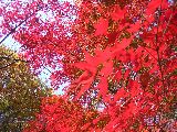b0053414_2258046.jpg