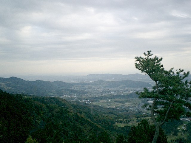 a0045416_1053329.jpg