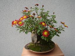 f0000521_13104858.jpg