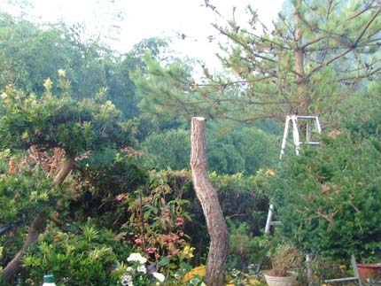 c0045227_9272848.jpg