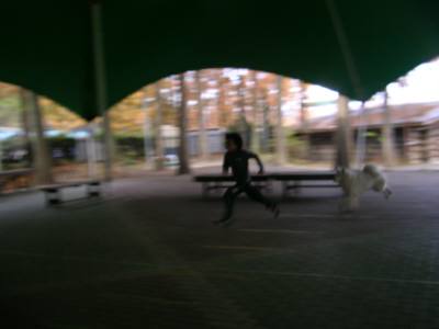 e0006428_4504364.jpg