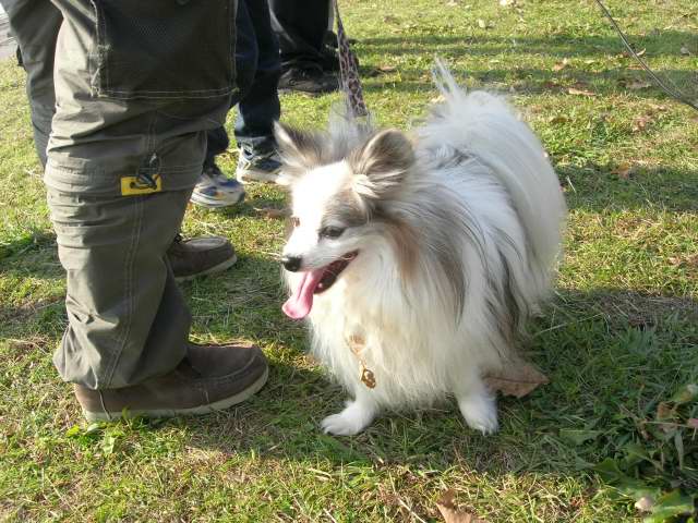 d0046031_22183269.jpg