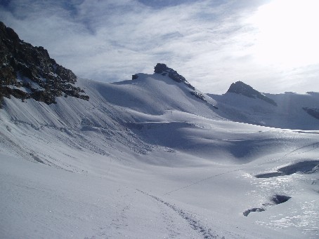 e0039531_2315434.jpg