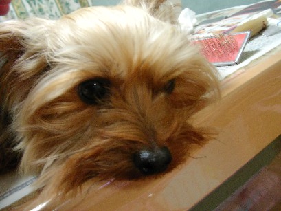 f0002833_0394859.jpg