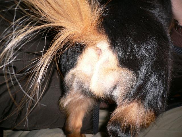 e0063136_2174378.jpg