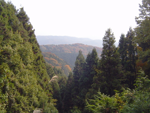 a0030639_21422043.jpg