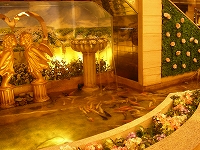c0008439_23322628.jpg